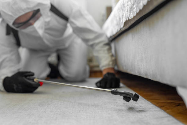 Professional Bed Bug Control technician working in Clermont, IN